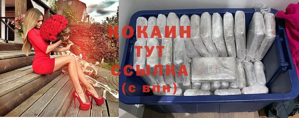 МДПВ Лагань