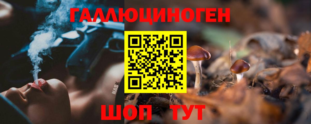 купить закладку  Псилоцибиновые грибы мицелий  Реутов  Вход с VPN  Галлюциногенные грибы MAGIC MUSHROOMS 