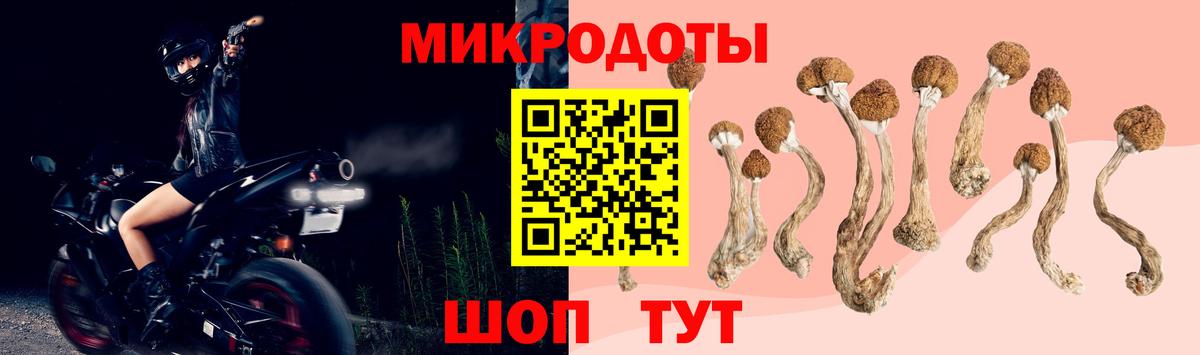 Псилоцибиновые грибы GOLDEN TEACHER Реутов